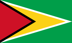 Guyana Country Flag Guyana Flag Guyanese Flag Flags Of The World