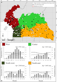 Image result for Polystachya calluniflora