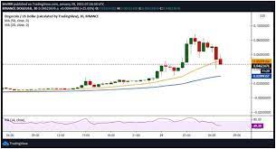 Historical index for the dogecoin price prediction: Dogecoin Nach Wallstreetbets Anstieg Um 1000 Explodiert