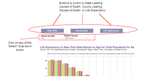 New York State Leading Causes Of Death