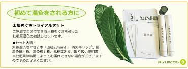 楽天市場 無農薬 枇杷の葉 びわの葉 300g 枇杷の生葉30枚 40枚 使い方説明書付き 長崎 大分県産 枇杷葉毎週2回入荷 送料無料 一部地域を除く 除草剤不使用 同梱不可 健康サポート専門店