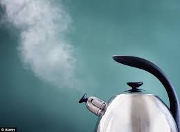 kettle: bugs that scan wi fi devices