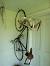 Bicycle Elevator