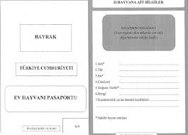 Kedi Ve Kopekler Icin Kimlik Karti Zorunlulugu Kedi Kopek Ve Diger Evcil Hayvanlar Icin En Iyi Bakiciyi Bul Petsurfer