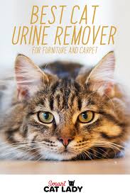 Best Cat Urine Remover From Furniture And Carpet Cat Urine Remover Cat Urine Cat Peeing In House