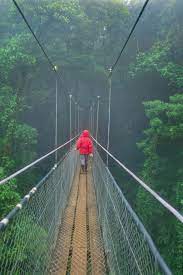 Reddit gives you the best of the internet in one place. Costa Rica Travel Guide
