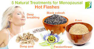 5 Natural Treatments For Menopausal Hot Flashes | Menopause Now