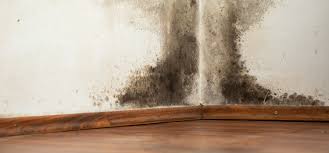 High r, radiant and vapor barrier all in one product. Never Install Air Con In A Home With A Vapor Barrier Ecohome