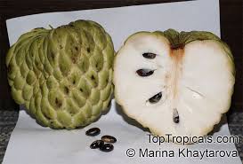 Pin On Exotic Fruit