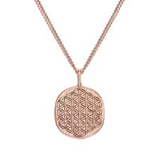 Image result for Triumfetta amuletum