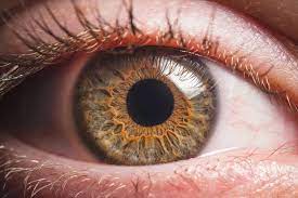 In order to avoid corneal abrasions, it is important to protect your eyes during heavy wind and when performing tasks where items could fly into your eyes. Scratched Eye Symptoms And Treatment Diamond Vision