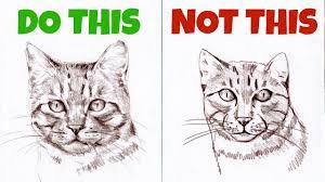 Thexvid.com/video/hpoymsvzk_4/video.html real time drawing tutorials on. Sketching Animals How To Draw A Realistic Cat Youtube