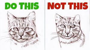 We did not find results for: Sketching Animals How To Draw A Realistic Cat Youtube