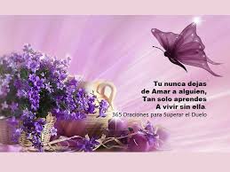 365 Oraciones Diarias para superar el Duelo - Home | Facebook