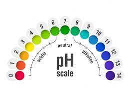 How to fix my ph balance. Vaginal Ph Balance Normal Levels And Natural Remedies