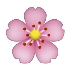 Pin By Matti Trimble On My Polyvore Finds Emoji Cute Tumblr Pictures Flowers