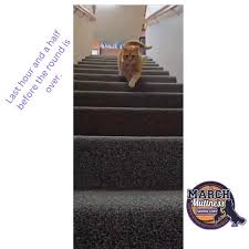 Adams County Pet Rescue