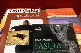 October 28, 2020 reading time: 5 Best Anatomy Books For Learning About Your Body