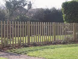Here are 20 simple tips for balancing the needs of pets and plants. Fencing Small Area For Dogs Pasteurinstituteindia Com