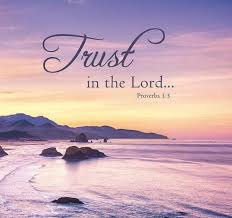 His truth shall be thy shield and buckler. Psalm 91 4 5 Zammie Steem Goldvoice Club
