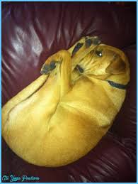 Pin On Yoga Poses 8