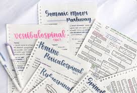On the second page, type the corresponding back side for each flash card. Using Flashcards To Study For The Usmle Elite Medical Prep