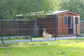 LE GITE DES 4 PATTES