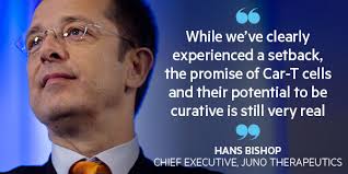 Gene therapy: A controversial cure