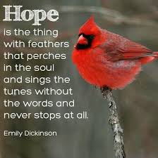Birds Of The Same Feather Funny Quotes Pin By Jody Czech On Cardinals Hope Is The Thing With Feathers Bird Quotes Red Birds