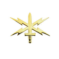 Cyber Warfare Officer Cyber Warfare Army Branches Warfare