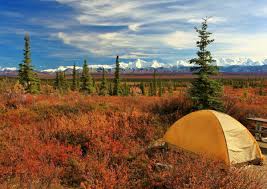 Maybe you would like to learn more about one of these? Camping And Backpacking Guide To Denali National Park