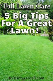 Fall Lawn Care What 5 Things You Can Do To Have A Great Lawn Lawn Mowing Fertilize Overseed Leaves Autumn Law Fall Lawn Care Fall Lawn Lawn Care Tips