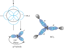 Solved For Each Of The Following Species: Draw The Lewis | Chegg.Com