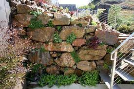 This is a conventional mortar rock wall. Ground Cover Landscaping Services Photo Gallery Outdoor Gardens Landscape Ground Cover