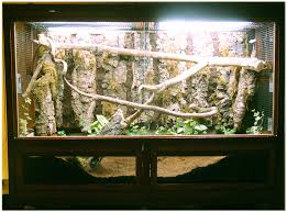 Reptile Cages Monitor Lizard Reptile Tanks For Sale Monitor Lizard Reptile Cage Reptile Tank