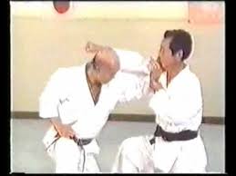 Wado Karate Idori By Tatsuo Suzuki Sensei Karate Training Karate Martial Arts Training