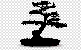 The global community for designers and creative professionals. 35 Latest Bonsai Tree Clipart Black And White Pink Wool
