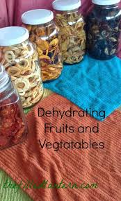 How To Dehydrate Foods Dehydrated Food Dehydrated Fruit Dehydrator Recipes