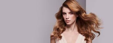 Ich werde ganz sicher wieder kommen. Scholz Haare Beauty Startseite Facebook