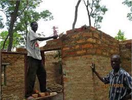 Image result for Adenodolichos punctatus