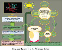 The described drug development process typically undergoes heavy iteration, repeating previous steps, and is not as neatly linear as. Home Page Current Computer Aided Drug Design