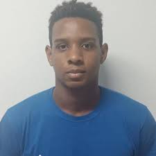 Pavel Andre Sanz Alvarez