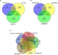 My shopping list create a personalized shopping list! Iga List Of Frontiers Open Access Articles