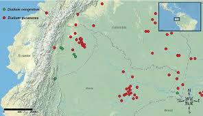 These differences become even more noticable if you plan to spend a longer time in the country. Figure Physical Map Of Ecuador Northern Peru And Southern Colombia Download Scientific Diagram