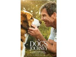 A devoted dog (josh gad) discovers the meaning of its own existence through the lives of the humans it teaches to laugh and love. A Dog S Journey A Dog S Journey Review The Movie Is High On Emotions And Will Tug At Your Heartstrings The Economic Times
