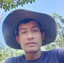 ຢາງຕາຂຽວຕໍ6-8ເດືອນ ຕໍໄທ(ບໍ່ມີປາຍທາງ) ມີສາຍພັນ251,600 ສົນໃຈໂທ☎️020 020 54  426 635🫶🏻 ຝາກທຸກແຂວງ🫶🏻👍