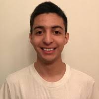 90+ "Roman Ochoa" profiles