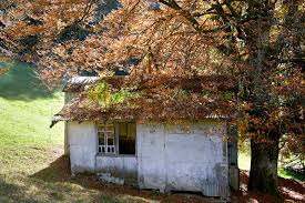 Zoovalhala zoo porno - knotty 18 teen twice during our