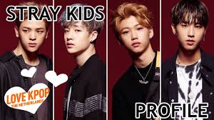 Lee felix (이필릭스) korean name: Stray Kids Members Profile Position Nationality Facts Etc Youtube