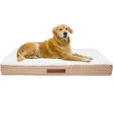 For those of you considering it, give it a try!! Medium Dog Beds You Ll Love In 2021 Wayfair Ca